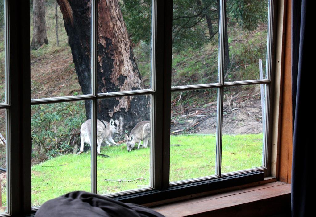 La Boheme Villa Daylesford Habitación foto